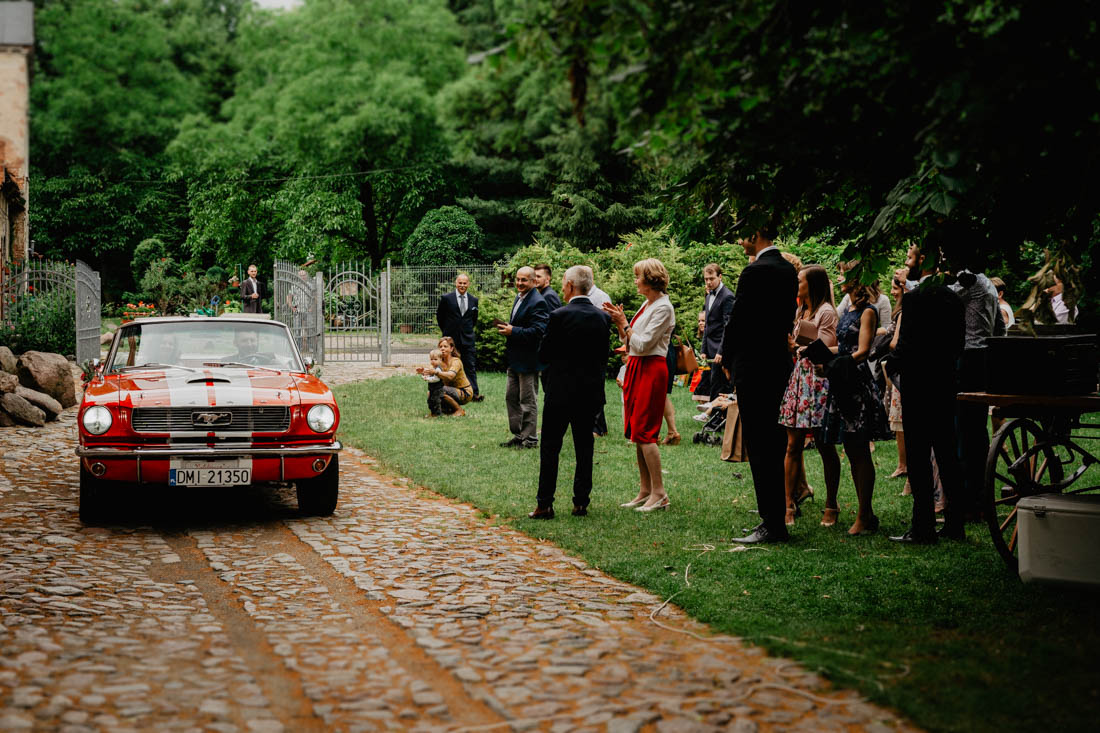 Ford Mustang GT350 1966 wjeżdżający na wesele do Spichlerza Galowice